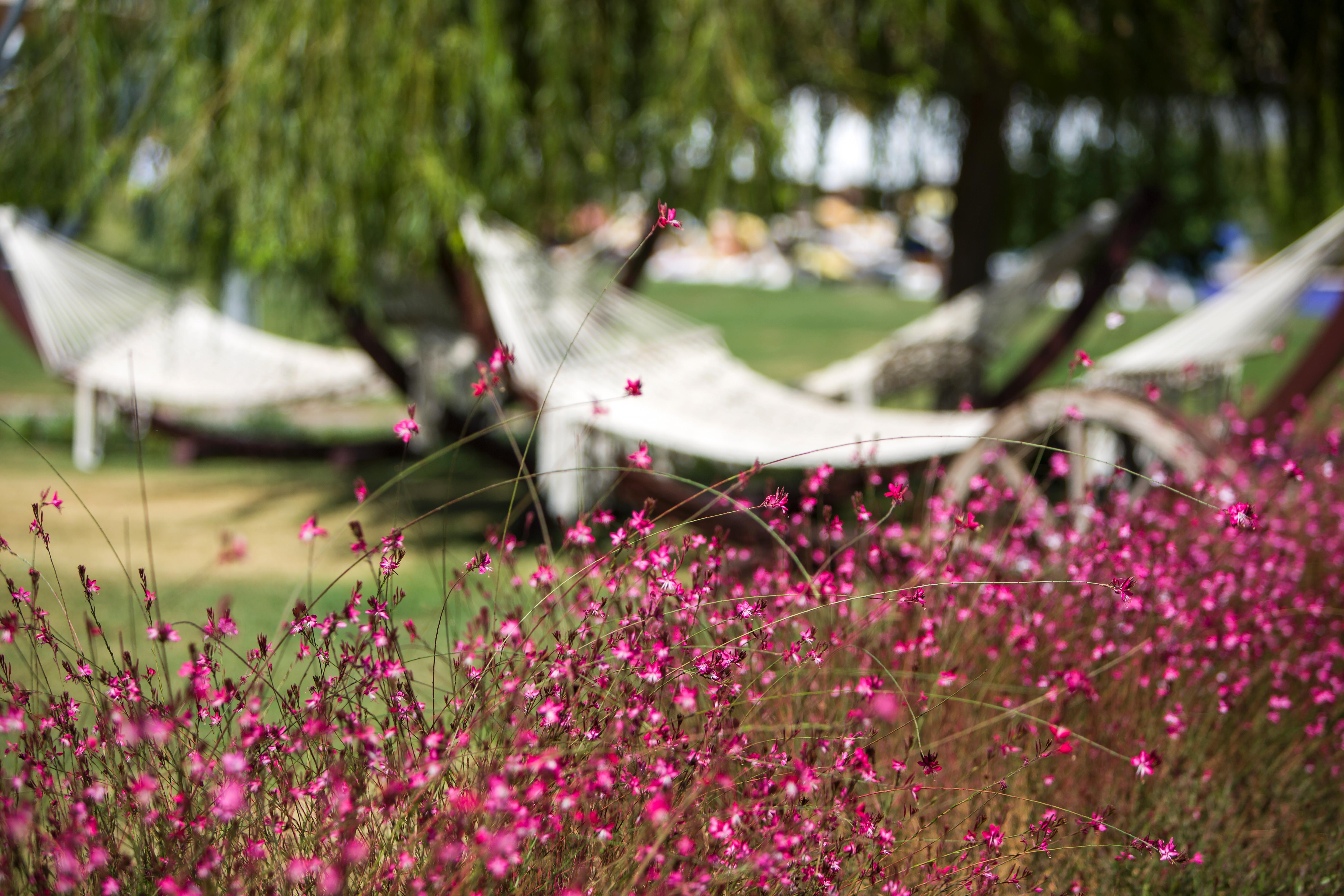 Xanthe Resort & Spa Evrenseki Екстериор снимка